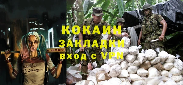 кокс Алексин